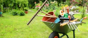 5 Surprising Ways Your Landscaping Can Help Battle Pests