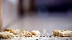 Kitchen Crumbs