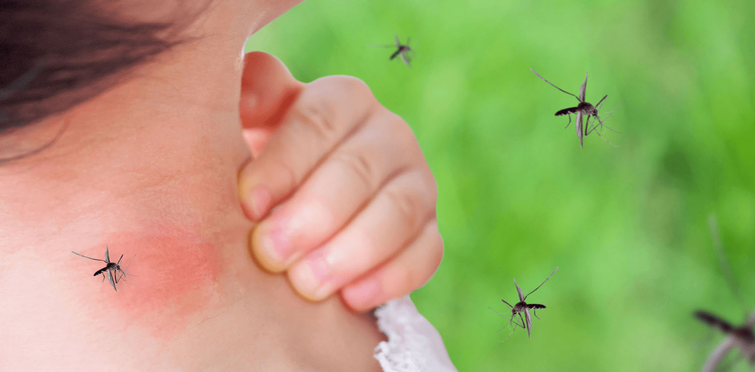 Mosquitos