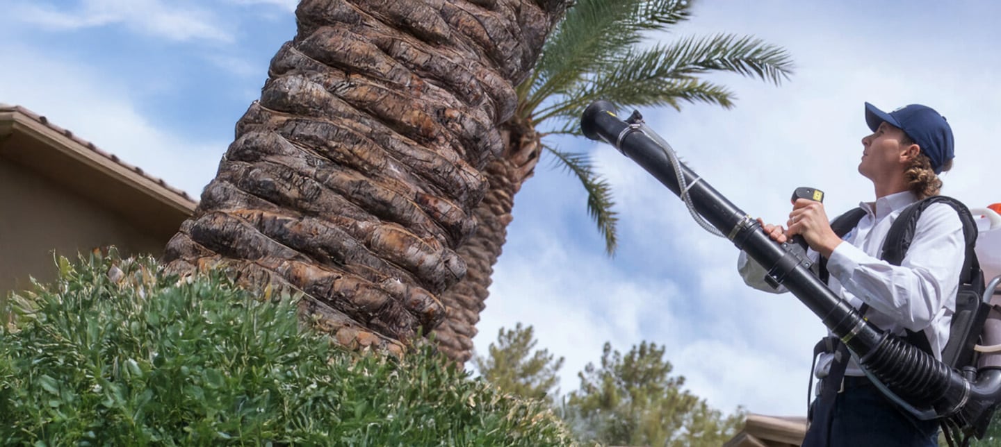 Moxie Mosquito Control in Phoenix and Tucson Arizona