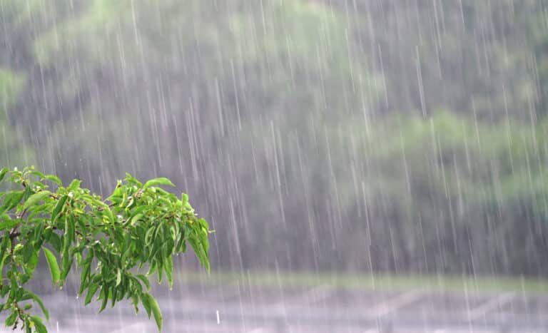 parking lot in the heavy rain in summer thunderstorm