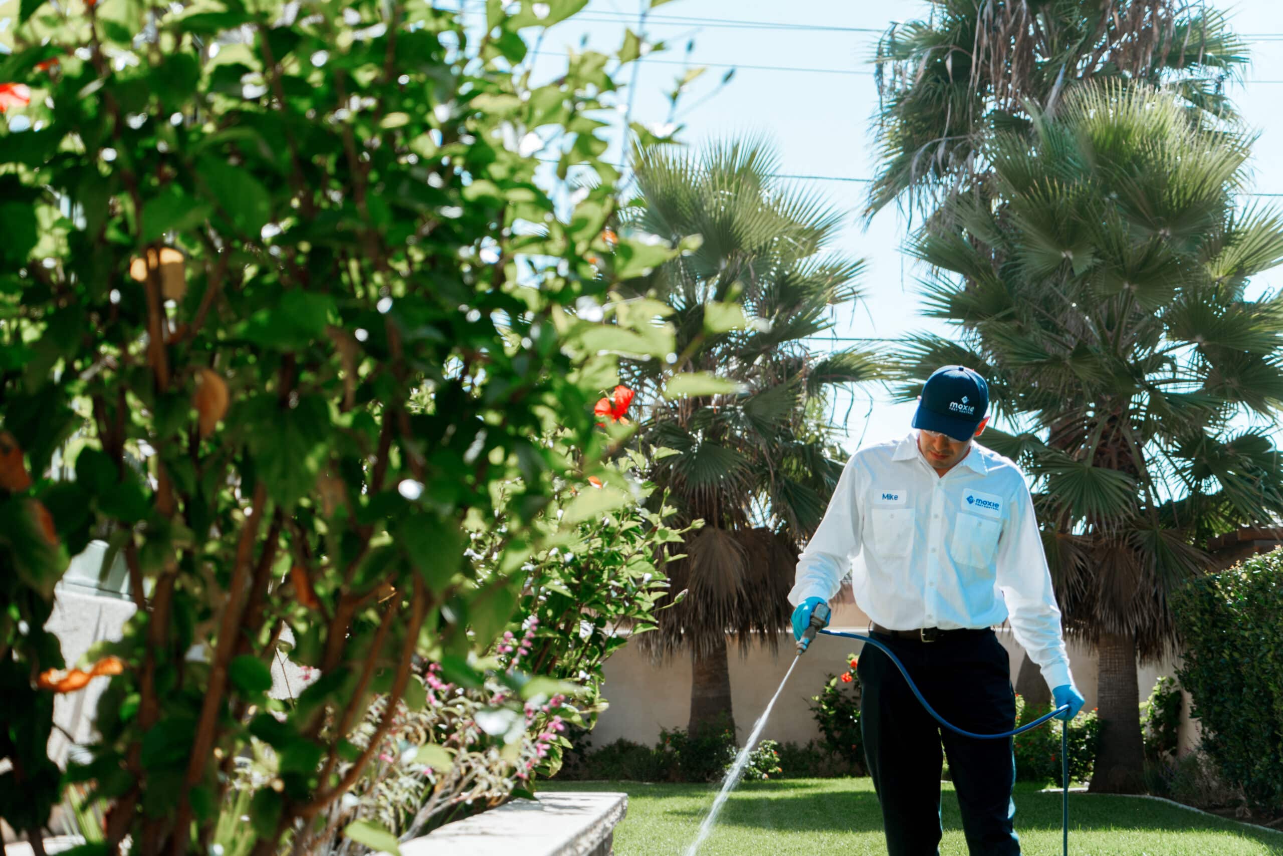 Moxie Pest Control proudly serves homes and business in Orange and Riverside counties.