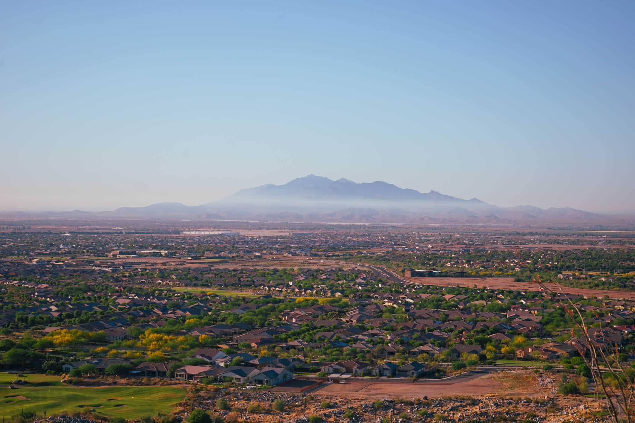 buckeye pest control