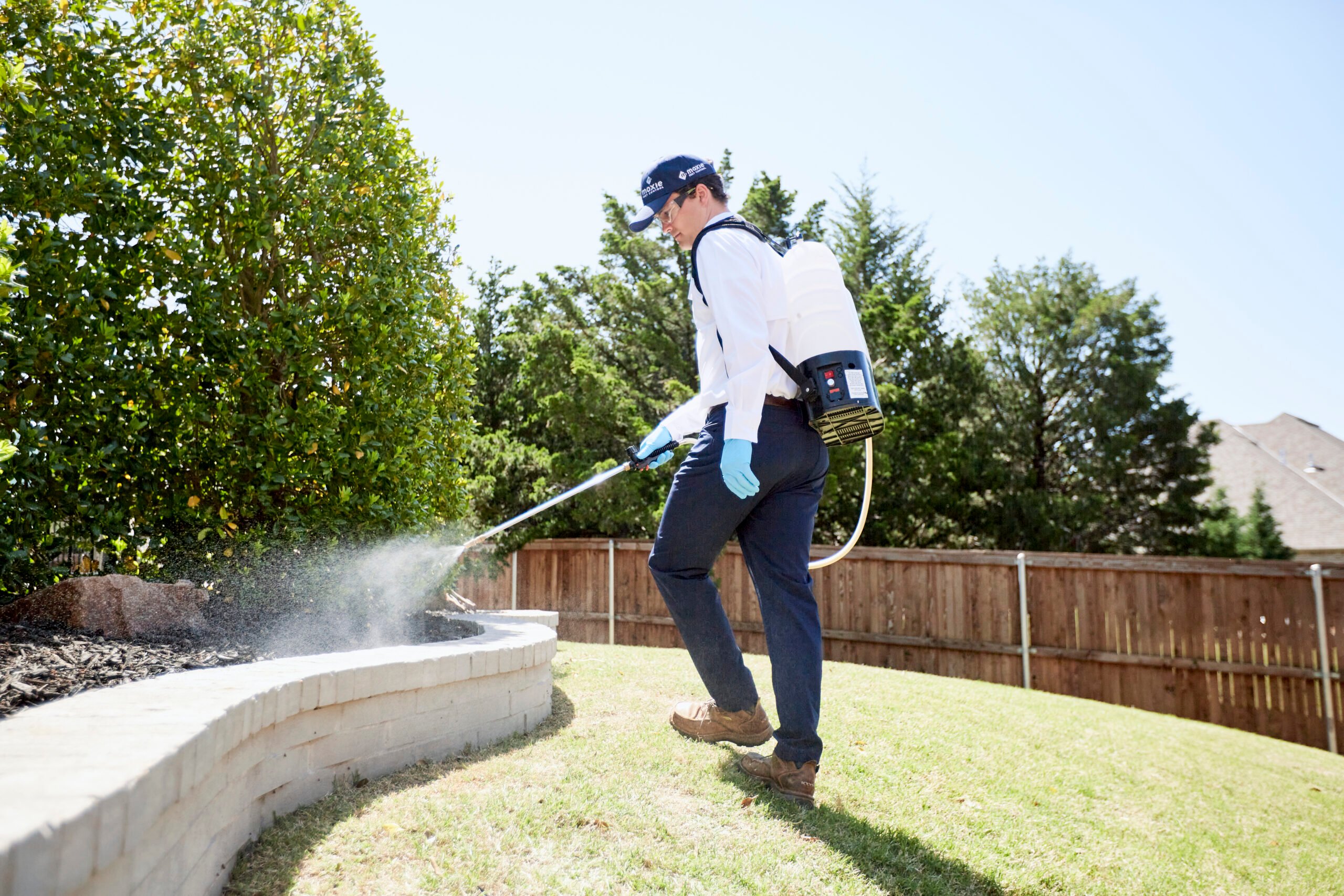 Moxie Pest Control Certified Field Expert applies pest control solution.